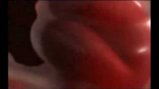 Du ventre plat au ventre rond Music Video