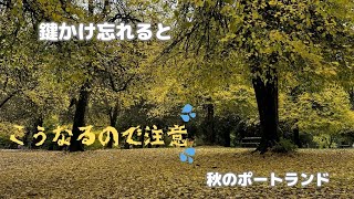 【ポートランド】車を盗難されて、こうなるん？　予想以上に色々出てきた話。多国籍ヘルプで結局こうなりました。