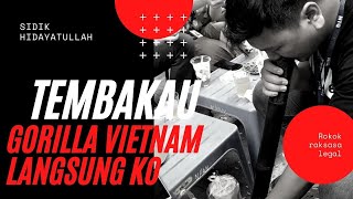 Download lagu Cobain Rokok Raksasa Vietnam 🇻🇳  langsung KO!!! Tembakau Gorilla Vietnam mp3