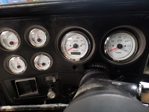 Dolphin gauges in the c10