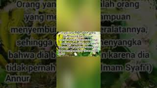 Download lagu Status wa. Kata-kata imam syafi'i mp3