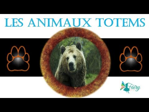 download lagu mp3 mp4 Ours Animal Totem, download lagu Ours Animal Totem gratis, unduh video klip Ours Animal Totem