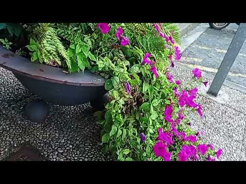 Huarte Navarra recorriendo algunas partes de este hermoso pueblo