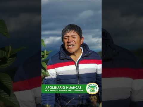 Reforestación en la sierra de Piura: sembrando vida junto a las comunidades de Huancabamba
