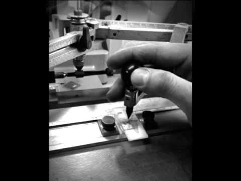 FLP - 2014 - 12° anniversario - il tronchetto di Tommi Ascorti