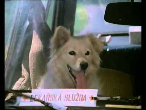 tohle není země to je zahrádka