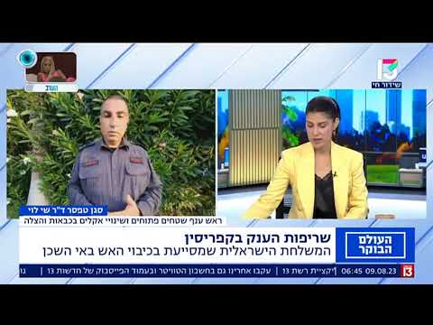 ד"ר שי לוי - ראיון ב-"העולם הבוקר" רשת 13, משלחת ישראלית לשריפות בקפריסין 9.8.23