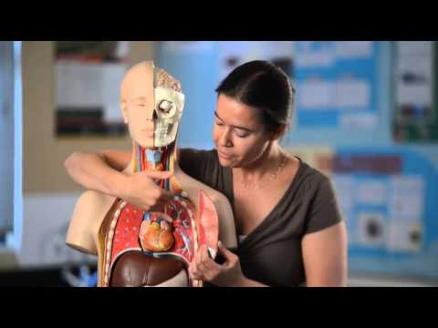 ACG Strathallan College - International