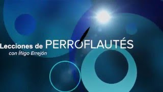 Lecciones de Perroflautés (II)