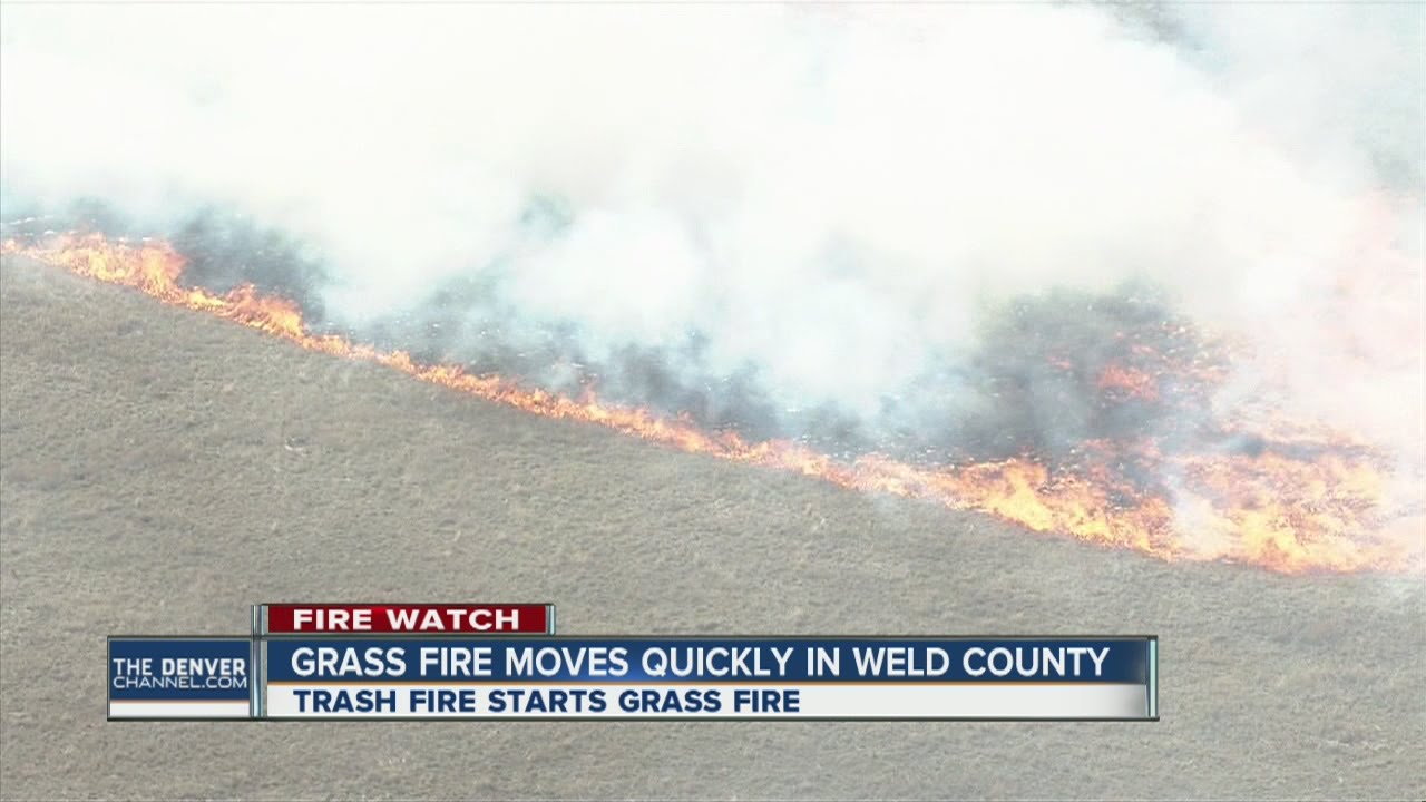 Grass fire moves quickly in Weld County