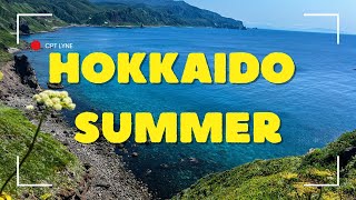 Download lagu Hokkaido Summer Memories // Aesthetic Vlog Japan mp3