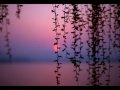 Meri Nazaar Ko Tera Intezaar Aaj Bhi Hai Version 1 Poetry By Aamer Ahmad Aamerahmad Com