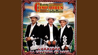 La Rubia Del Mono Negro