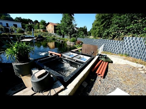 Modern Koi Blog #1167 – The filter of a giant koi pond