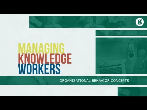 What is Organizational Behavior