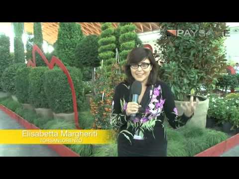 TORSANLORENZO - at NEW GARDENS FOR THE CITY LIFE 2012 by PAYSAGE