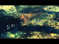 Whitest Boy Alive "Burning" (KrazyFiesta Remix ...