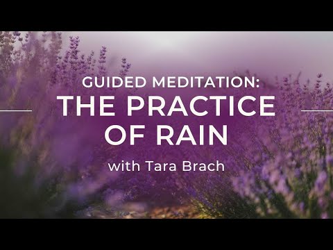 Guided Meditation: The Practice of RAIN with Tara Brach