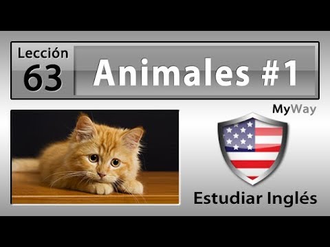 Lección 63: Animales #1 (Estudiar Inglés)