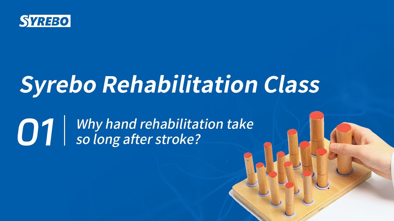 Class 1: Why Does Hand Rehabilitation Take So Long After Stroke?