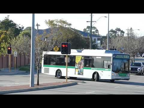 Transperth Mercedes-Benz OC500LE (Volgren CR228L) TP2025 Departs Thornlie Station