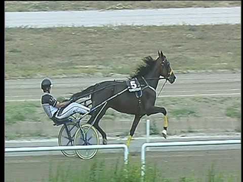 Trotto 17/06/2017 - 1ª corsa