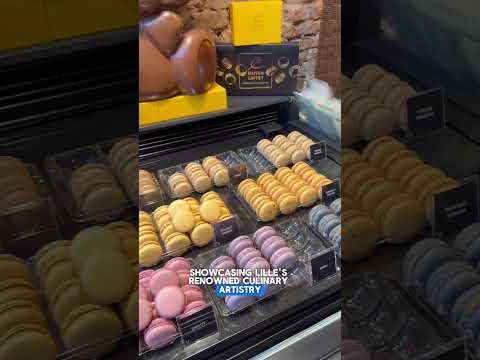 Why Lille in France Should Be Your Next Travel Destination  🇫🇷✨