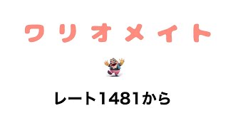 ワリオメイト