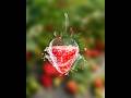 Create Transparent Effect Adobe Photoshop Tutorial
