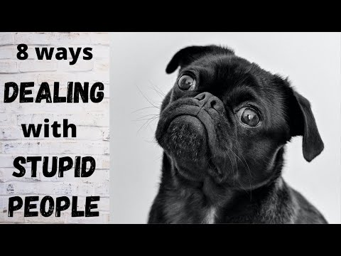 How to Deal with Stupid People: 8 ways