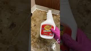 Training Video Gallery 11 Deep Cleaning Challenge at a Property Management! #Shorts