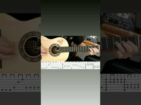 Folia - Elcio Dias