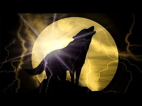 Emdi x Coorby - Lonewolf (feat. Kristi Leah)