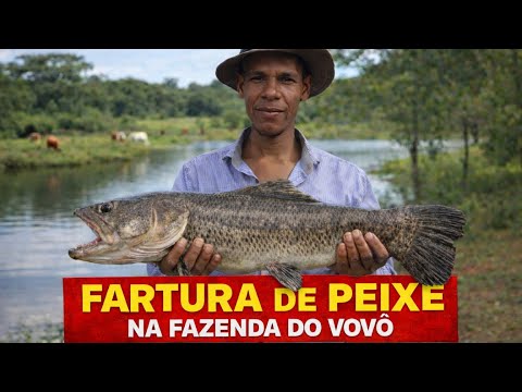A MAIOR FARTURA DE PEIXE QUE JÁ VI NA FAZENDA DO VOVÔ! 😱🐟 | vovo e neto | humor garantido 