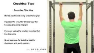 231. Scapular Chin Up