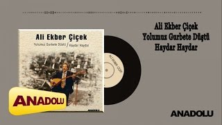 Ali Ekber Çiçek - Yolumuz Gurbete Düştü / Haydar Haydar (LP) Full Albüm