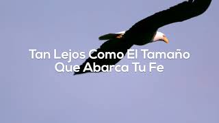 Vuela águila tercer cielo