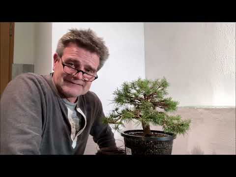 Aus gegebenem Anlass…