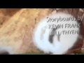 Dvd Credits Dinosaur Train