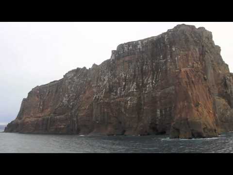 CSO: Music goes to Antarctica, an invitation to MusicNOW by Victor Gama