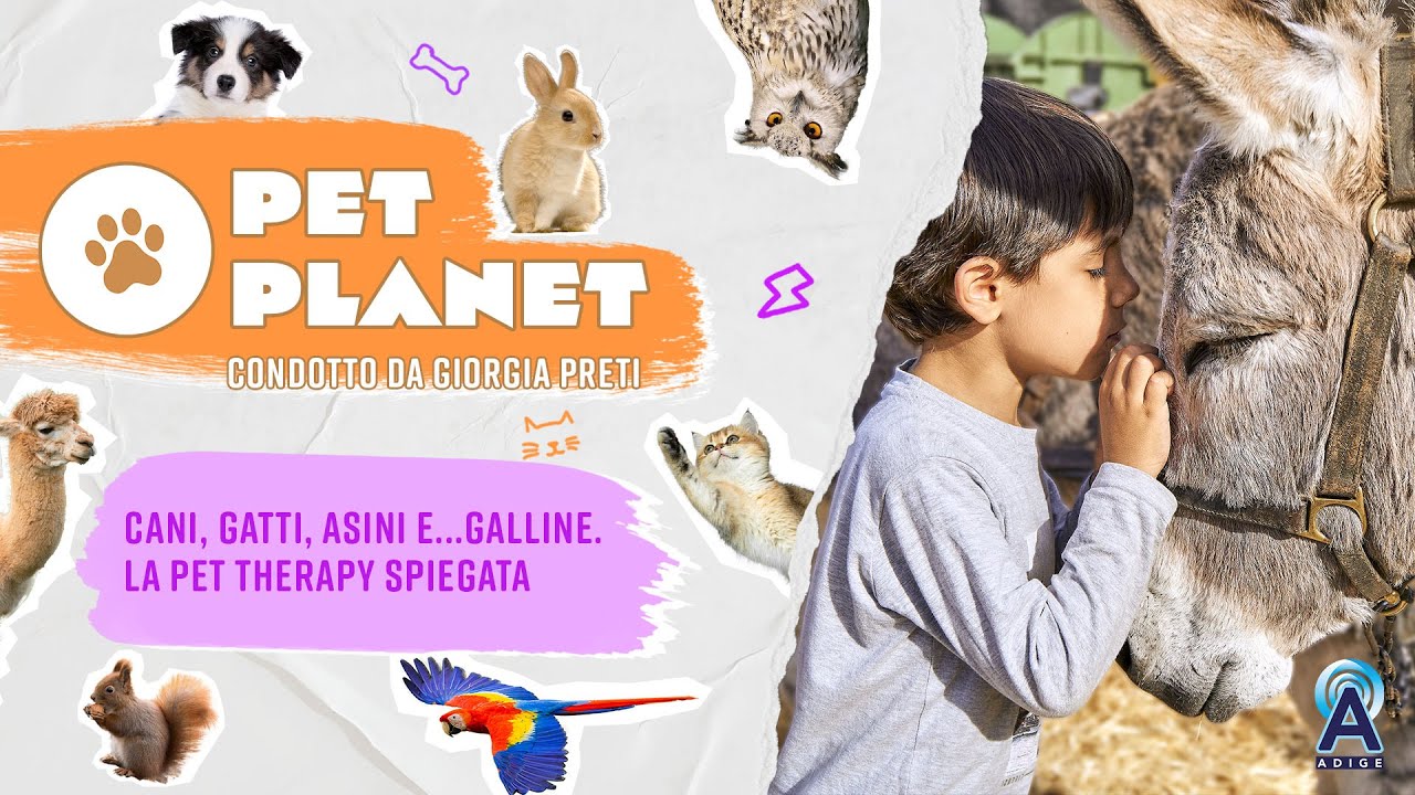 Descrizione dell'immagine