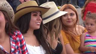 Coleadero en el Porvenir, Jerez 2018.