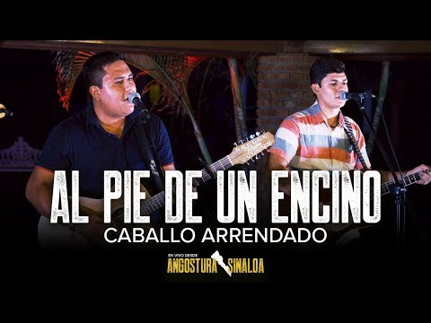 Al Pie De Un Encino (En Vivo) - Caballo Arrendado