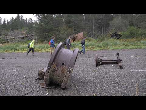 In Search of The Port Chatham Hairy Man | Official Trailer