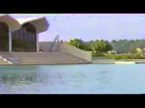 ليش ما سلمت سعدي الحلي