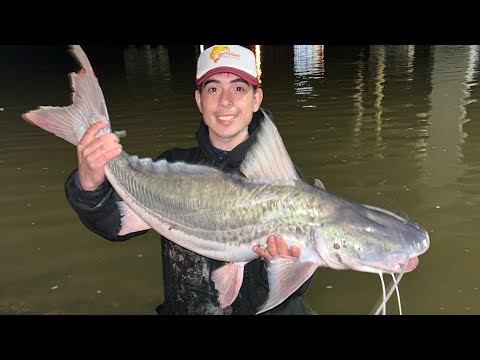 PESCA EN TIMBUES! PATIES, SURUBI Y MAS (pesca de costa)