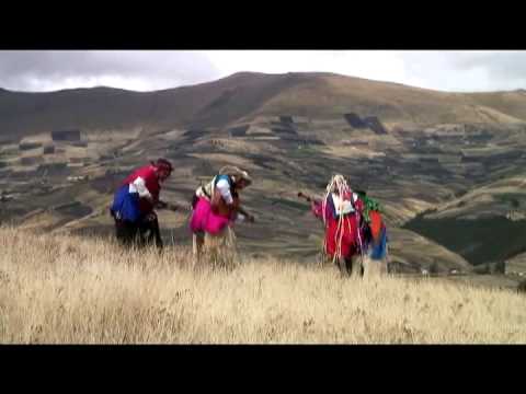 Henry Fuertes Taquido