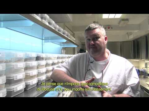 BOWN #20 Mathias Dahlgren: the Swedish champion