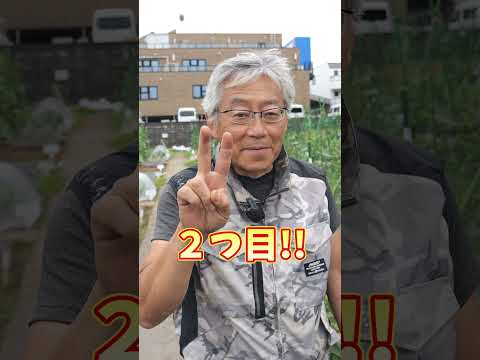 ピーマンをいつポットに播種し、どのようにすれば良い収穫が得られるでしょうか？  庭園