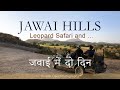 Jawai Leopard Safari - जवाई में दो दिन Jawai Hills Leopard Safari #jawaileopard #jawai #rajastha